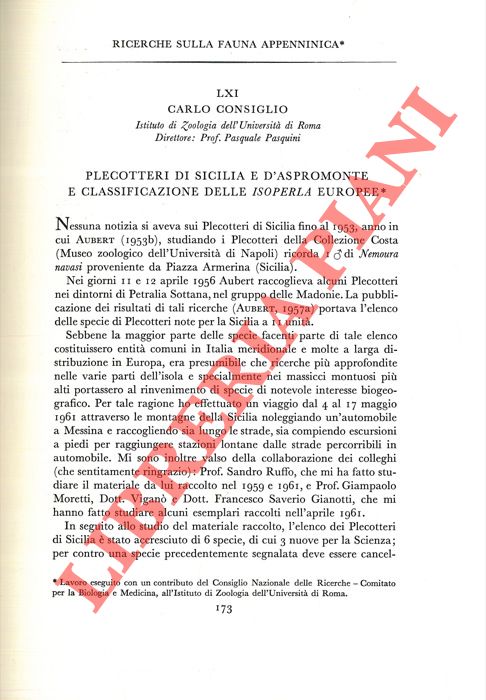 CONSIGLIO Carlo - - Plecotteri di Sicilia e d'Aspromonte e classificazione delle Isoperla europee.