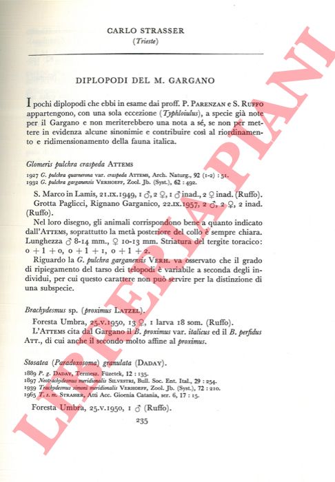 STRASSER C. - - Diplopodi del M. Gargano.