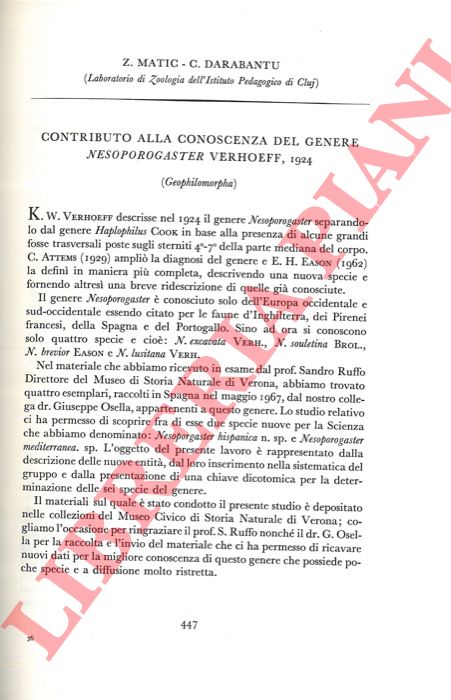 MATIC Z. - DARABANTU C. - - Contributi alla conoscenza del genere Nesoporogaster Verhoeff, 1924 (Geophilomorpha) .