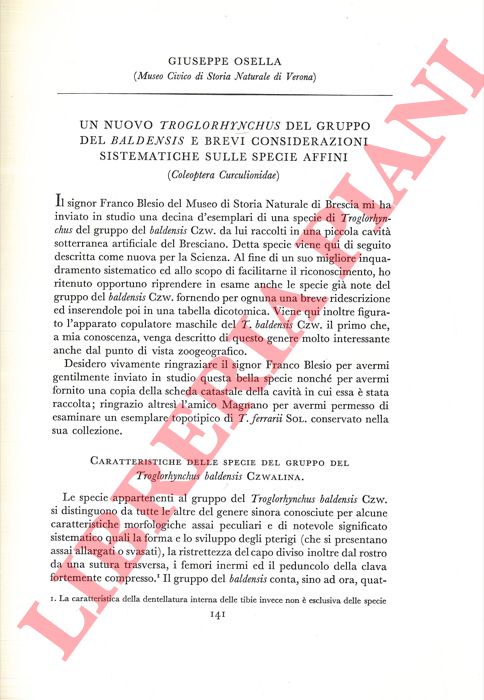 OSELLA Giuseppe - - Un nuovo Troglorhynchus del gruppo dei baldensis e brevi considerazioni sistematiche sulle specie affini (Coleoptera Curculionidae) .