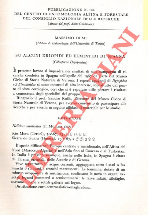 OLMI Massimo - - Su alcuni Driopidi ed Elmintidi di Spagna (Coleoptera Dryopoidea) .