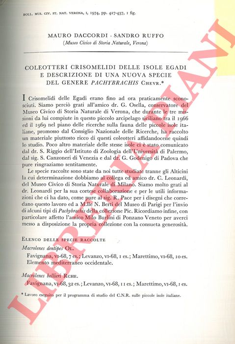 DACCORDI Mauro - RUFFO Sandro - - Coleotteri Crisomelidi delle isole Egadi e descrizione di una nuova specie del genere Pachybrachis Chevr.