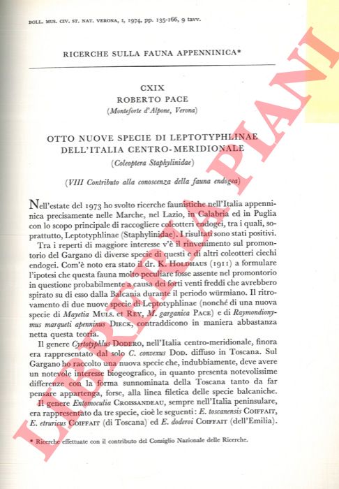 PACE Roberto - - Otto nuove specie di Leptotyphlinae Scheerpeltz dell'Italia Centro-meridionale (Coleoptera Staphylinidae) .