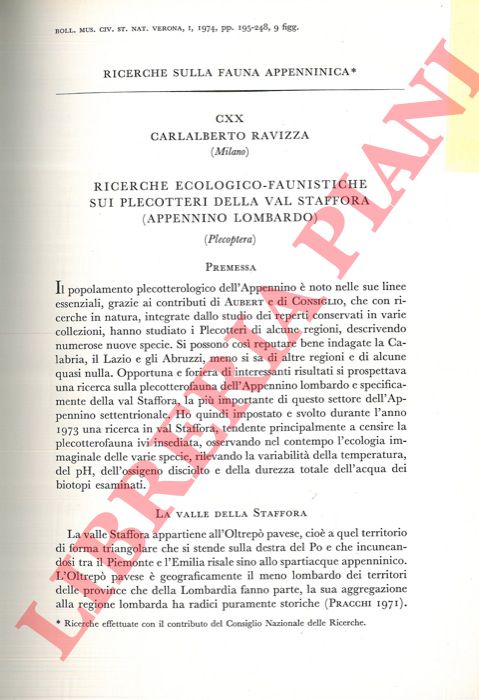 RAVIZZA Carlalberto - - Ricerche ecologico-faunistiche sui Plecotteri della Val Staffora (Appennino Lombardo) .