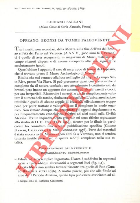 SALZANI Luciano - - Oppeano. Bronzi da tombe paleovenete.