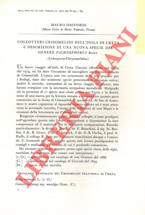 DACCORDI Mauro - - Coleotteri Crisomelidi dell'isola di Creta e descrizione di una nuova specie del genere Pachnephorus Redt. (Coleoptera Chrysomeildae) .