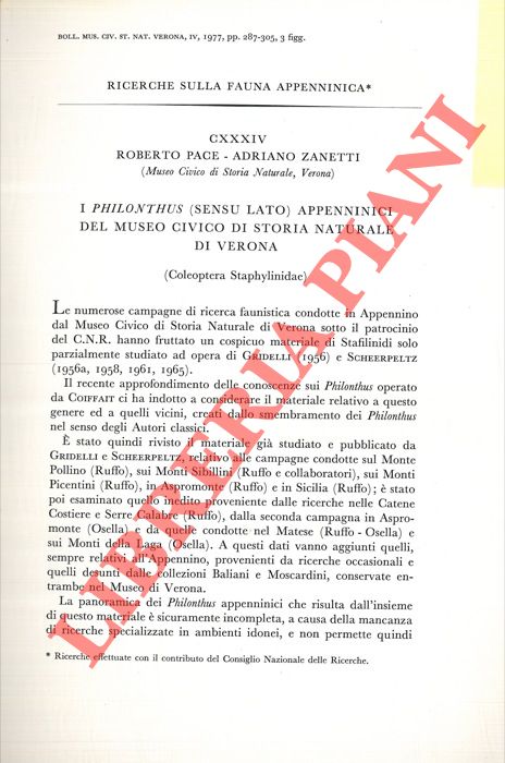 PACE Roberto - ZANETTI Adriano - - I Philonthus (sensu lato) appenninici del Museo Civico di Storia Naturale di Verona (Coleoptera Staphylinidae) .