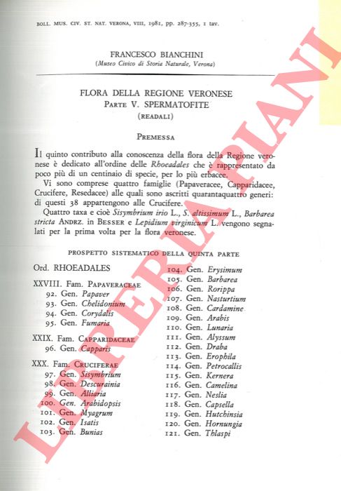 BIANCHINI Francesco - - Flora della regione veronese. Spermatofite (Readali) .
