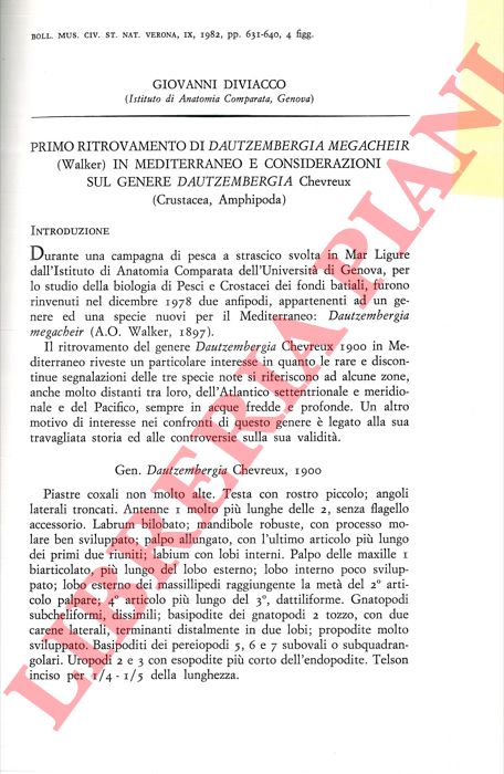 DIVIACCO Giovanni - - Primo ritrovamento di Dautzembergia megacheir (Walker) in Mediterraneo e considerazioni sul genere Dautzembergia Chevreux (Crustacea Amphipoda) .