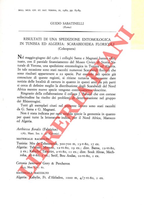 SABATINELLI Guido - - Risultati di una spedizione entomologica in Tunisia ed Algeria: Scarabeoidea floricoli (Coleoptera) .