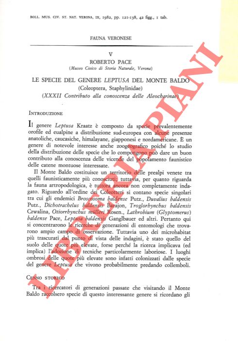 PACE Roberto - - Le specie del genere Leptusa del Monte Baldo (Coleoptera Staphylinidae) .