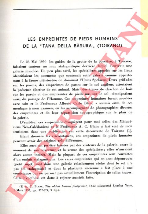 PALES Lon - - Les empreintes de pieds humains de la 'Tana della Basura' (Toirano) .
