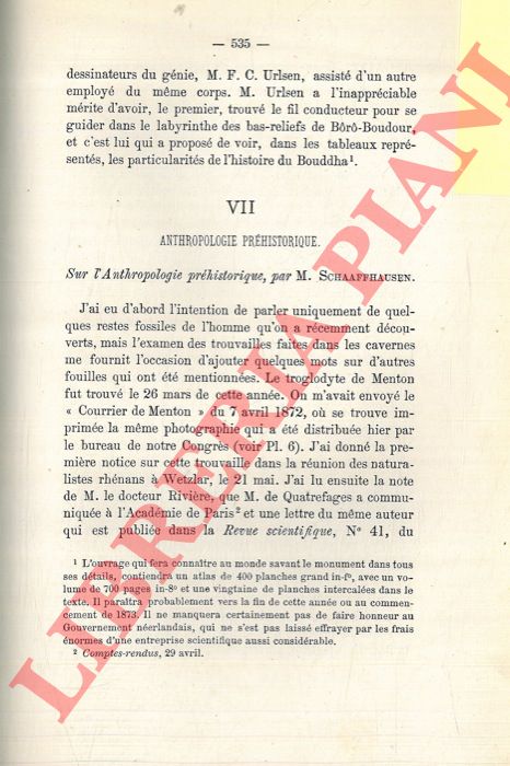 SCHAAFFHAUSEN - LAGNEAU G. - VIRCHOW R. - VANDERKINDERE L. - ROYER C. - DE QUATREFAGES - CLARKE H. - DA SYLVA - - Anthropologie prhistorique. 1. Sur l'anthropologie prhistorique. 2. Sur les cranes de Furfooz. 3. Sur les cranes des cavernes de Chauvaux, de Sclaigneaux, etc. 4. Sur l'ethnologie de la Belgique. 5. Sur les populations europennes. 6. Sur les races humaines de l'Europe. 7. Sur la classification des populations de la Grande Bretagne et de l'Indoustan. 8. Sur un crane dcouvert  Coimbre.