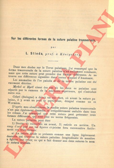 STIEDA L. - - Sur les diffrentes formes de la suture palatine transversale.