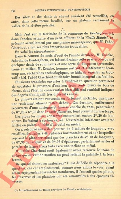 DE LOE A. - - Dcouverte de palafittes en Belgique.
