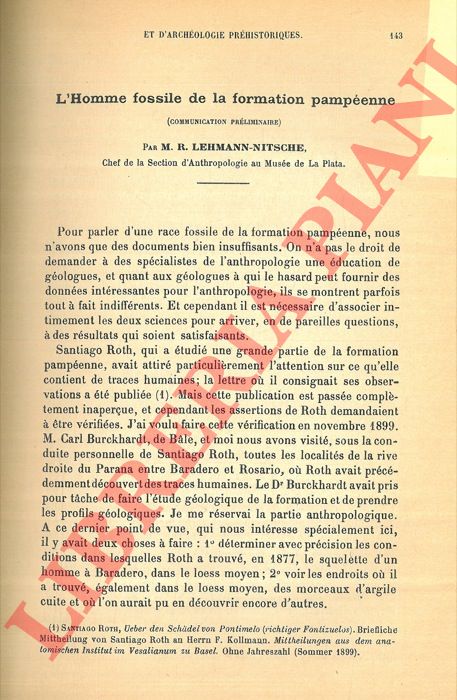 LEHMANN-NITSCHE R. - - L'homme fossile de la formation pampenne.