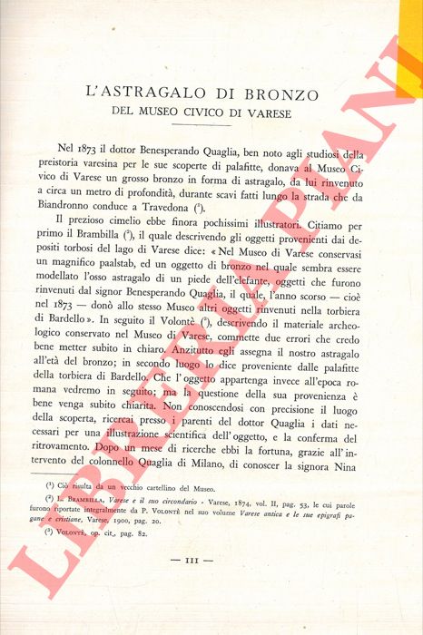 BERTOLONE Mario - - L'astragalo di bronzo del Museo Civico di Varese.