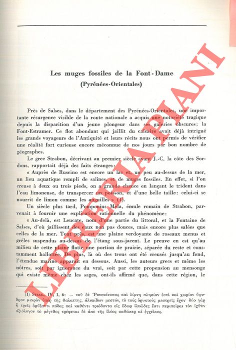 CHEVALIER Yves - - Les muges fossiles de la Font-Dame (Pyrnes Orientales) .