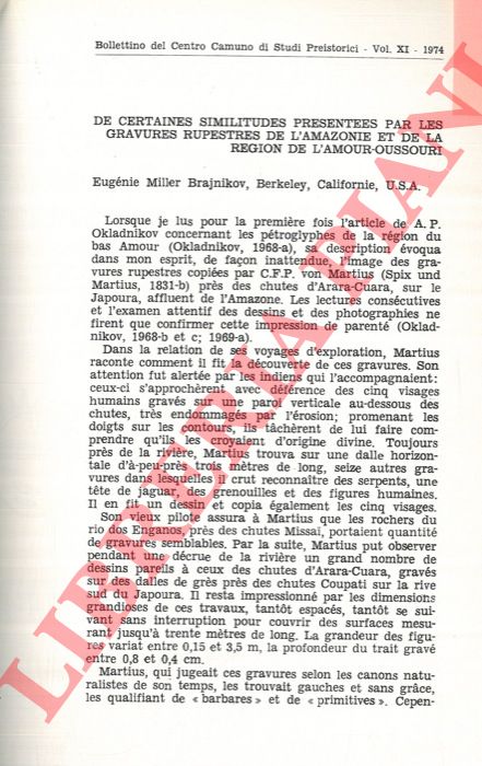 MILLER BRAJNIKOV Eugnie - - De certaines similitudes prsentes par les gravures rupestres de l'Amazonie et de la rgion de l'Amour-Oussouri.