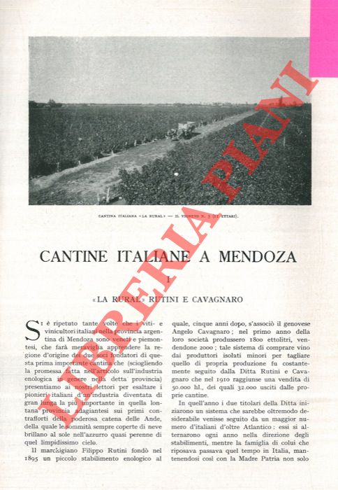 CONSOLI B. - - Cantine italiane a Mendoza.