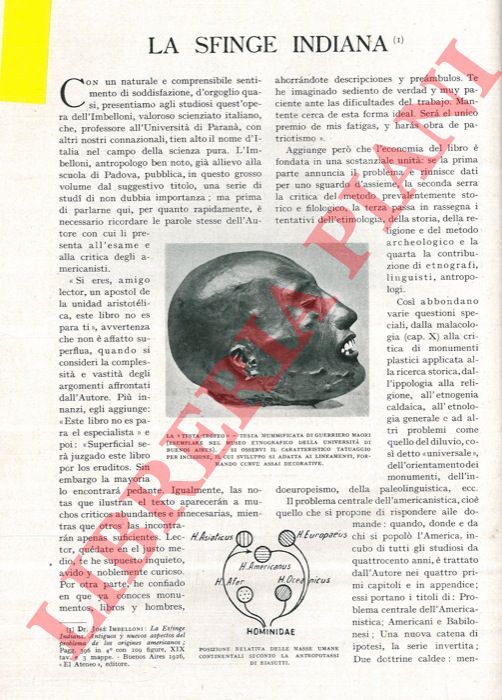 CALLEGARI G. V. - - La sfinge indiana.