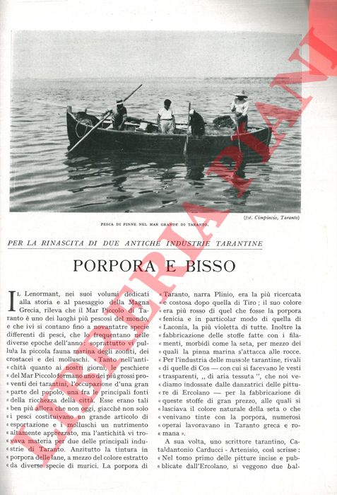 SPECTATOR - - Per la rinascita di due antiche industrie tarantine. Porpora e bisso.