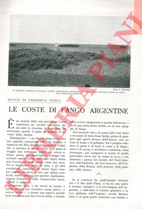 ROVERETO Gaetano - - Le coste di fango argentine.