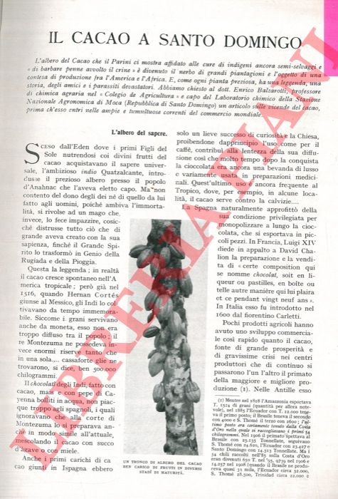 BALZAROTTI Enrico - - Il cacao a Santo Domingo.