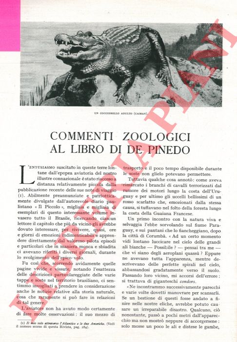 RONNA Ernesto - - Commenti zoologici al libro di De Pinedo.