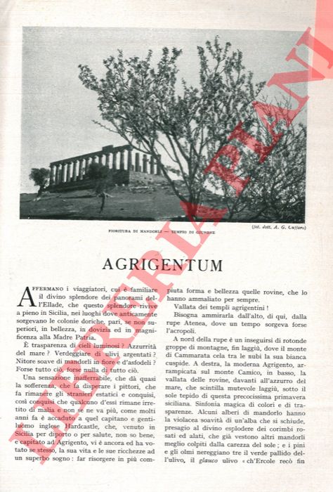 BERSANETTI Alda - Agrigentum.