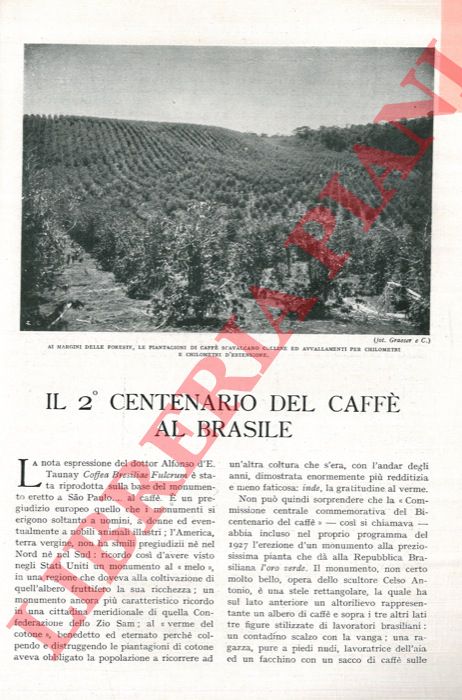 DE' PASSERA G. - - Il 2 centenario del caff al Brasile.