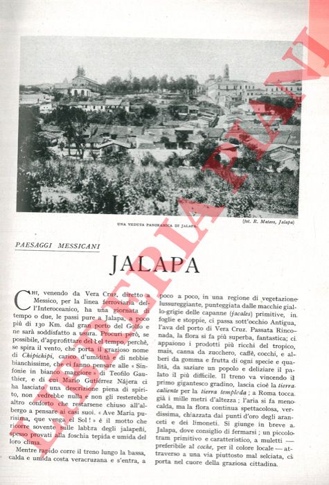 CALLEGARI G. V. - - Jalapa.