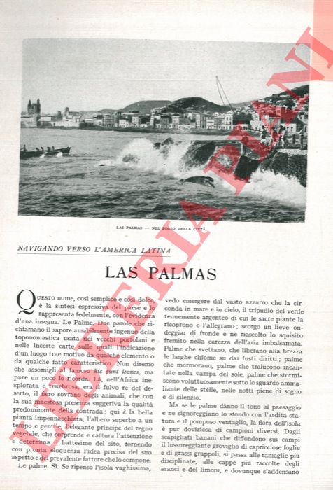 TEGANI Ulderico - - Las Palmas.