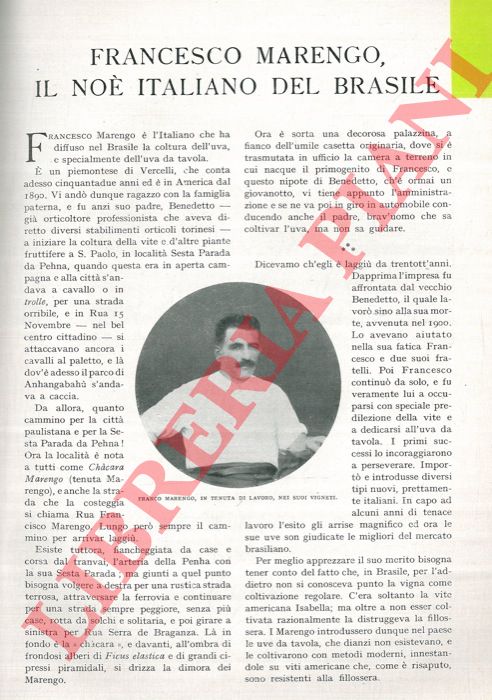 - - Francesco Marengo, il No italiano del Brasile.