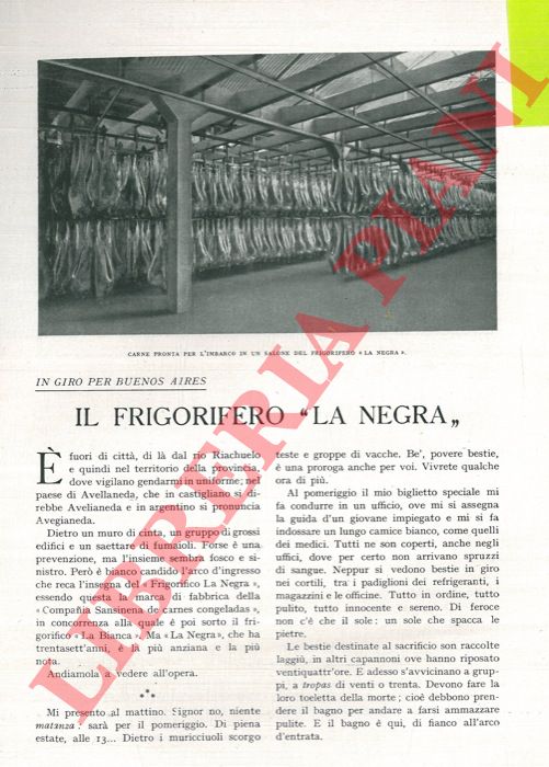 TEGANI Ulderico - - In giro per Buenos Aires. Il frigorifero 'La Negra' .
