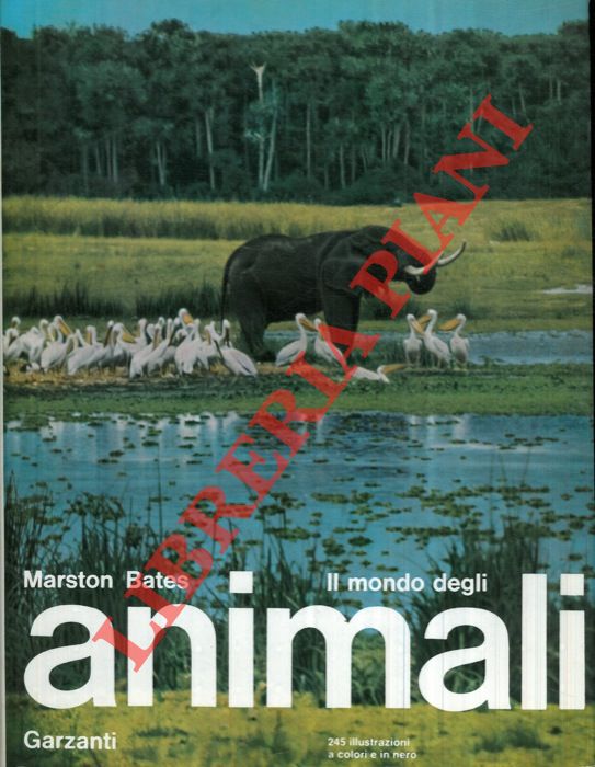 BATES Marston - - Il mondo degli animali.