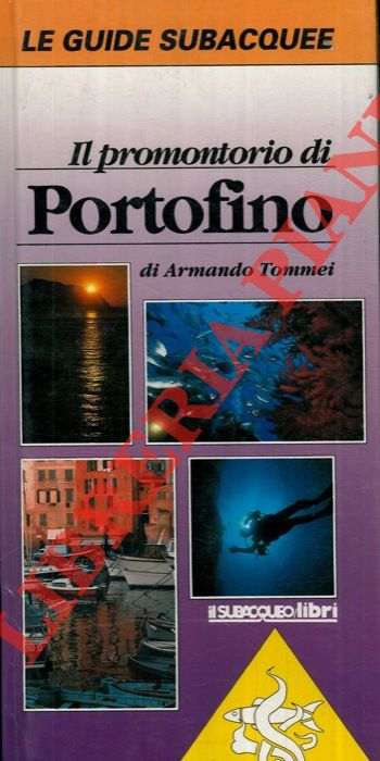 TOMMEI Armando - - Il promontorio di Portofino.