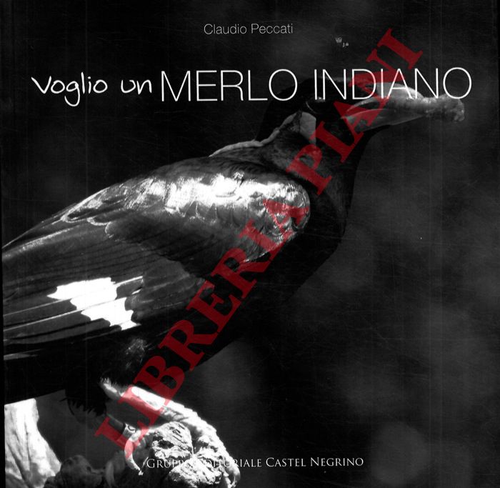 PECCATI Claudio - - Voglio un merlo indiano.