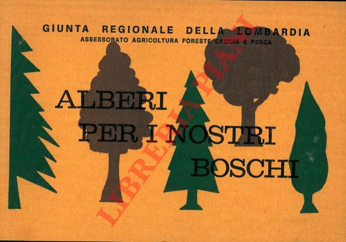 - - Alberi per i nostri boschi.