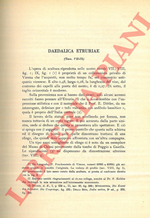 LOEWY E. - - Daedalica Etruriae.