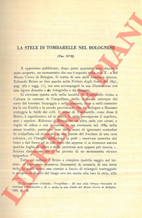 DUCATI Pericle - - La stele di Tombarelle nel Bolognese.