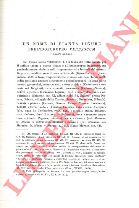 ALESSIO G. - - Un nome di pianta ligure, preindoeuropeo 'verbascum' .