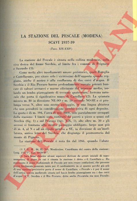 MALAVOLTI F. - - La stazione del Pescale (Modena) . Scavi 1937-39.