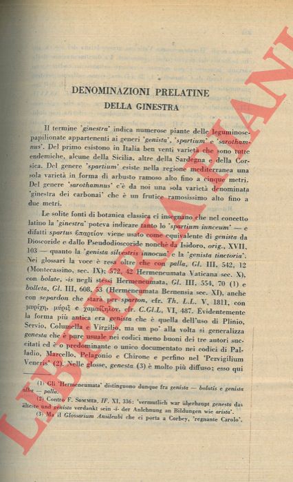 BALBONI M. L. - - Denominazioni prelatine della ginestra.