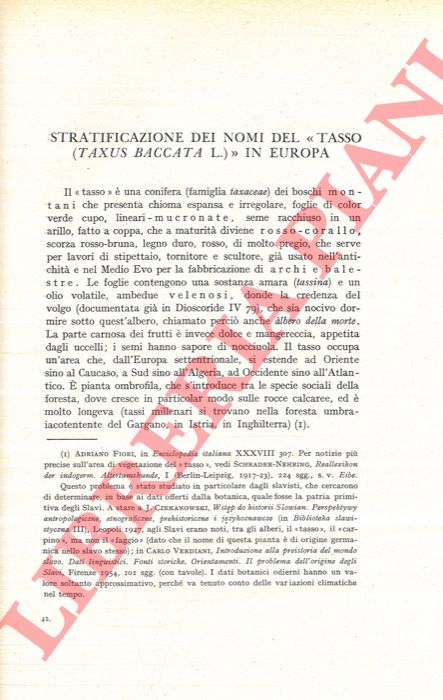 ALESSIO Giovanni - - Stratificazione dei nomi del 'Tasso' (Taxus Baccata L) in Europa.