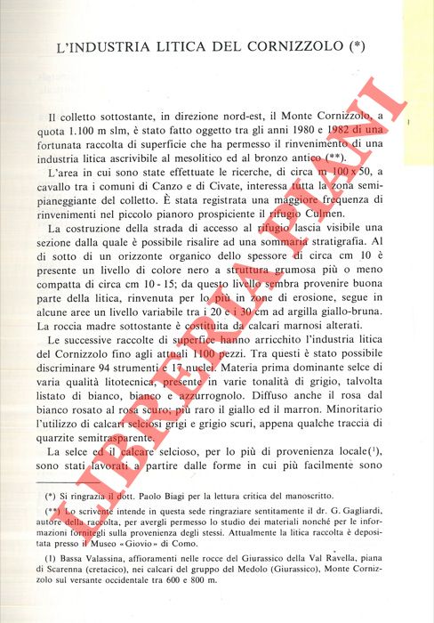 D'ERRICO Francesco - - L'industria litica del Cornizzolo. Sentiero per il Dosso della Guardia (Monte Cornizzolo) .