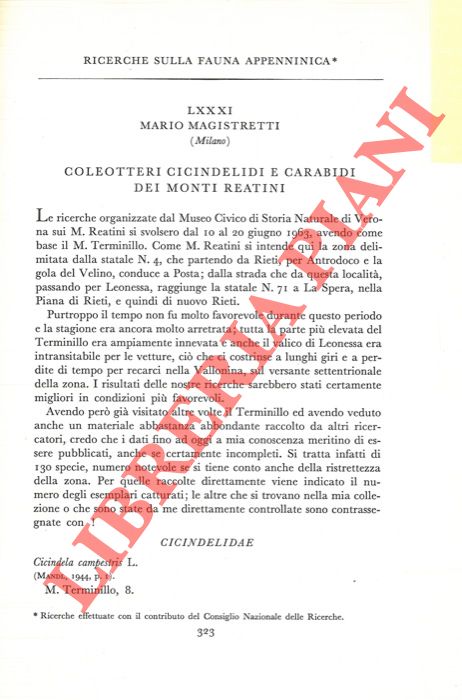 MAGISTRETTI Mario - - Ricerche sulla fauna appenninica. Coleotteri Cicindelidi e Carabidi dei Monti Reatini.