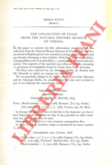 SUCIU Maria - - The collection of fleas from the Natural History Museum of Verona.