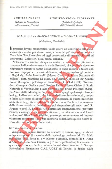 CASALE Achille - VIGNA TAGLIANTI Augusto - - Note su Italaphaenops dimaioi Ghidini (Coleoptera, Carabidae) .