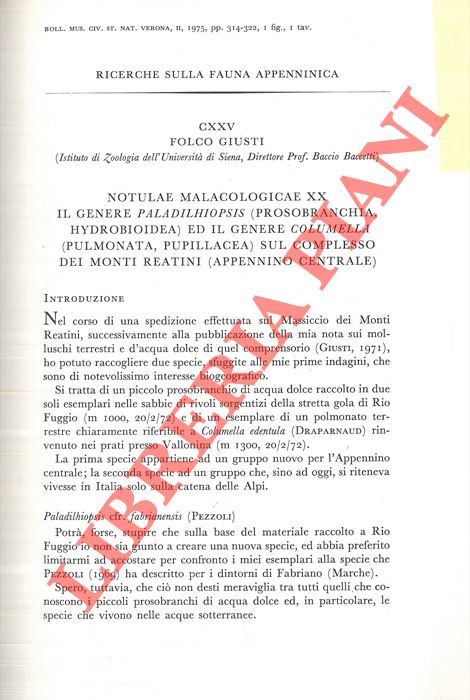 GIUSTI Folco - - Notule malacologicae. Il genere Paladilhiopsis (Prosobranchia, Hydroibioidea) ed il genere Columella (Pulmonata, Pupillacea) sul complesso dei Monti Reatini (Appennino Centrale) .